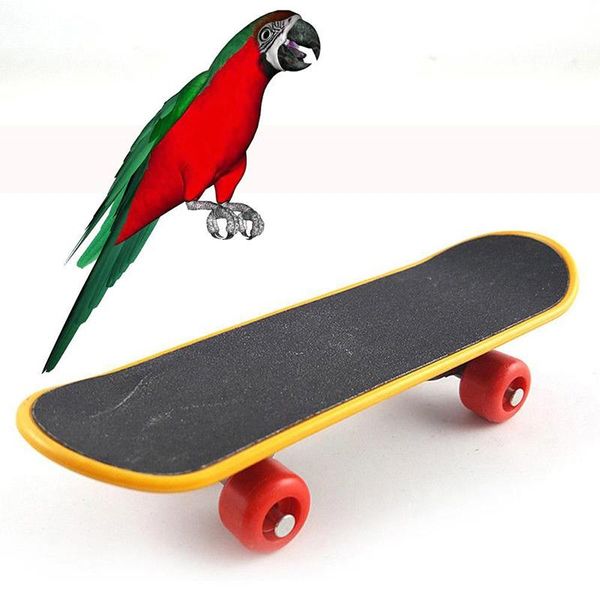 

other bird supplies professional type bearing wheels parrot skid pad maple mini skateboards alloy stent wheel toys