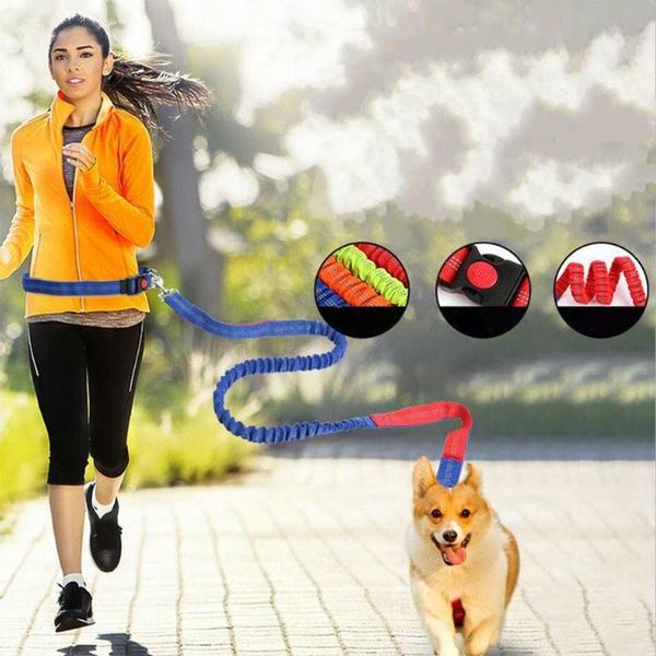 

pet dog traction rope elastic nylon running walking belt collars & leashes