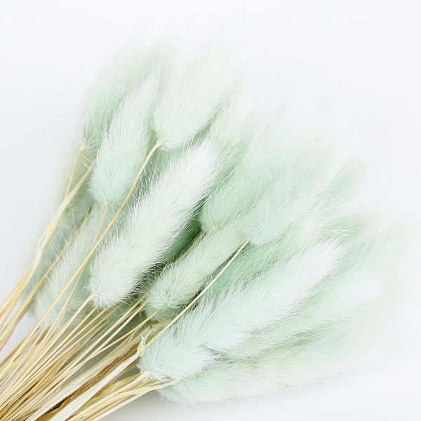 

50 pcs dried flower grass decoration pgraphy props for home store wedding k888