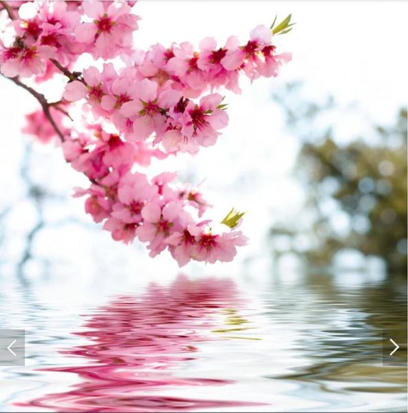 

wallpapers 3d pink peach blossom flower wallpaper mural home wall murals decals living room hand painting printed po floral papers
