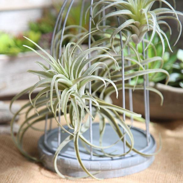

decorative flowers & wreaths artificial pineapple grass air plants fake as home wall deskdecoration leaf