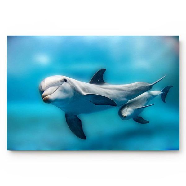 

cushion/decorative pillow dolphin blue ocean creature living room doormat home environmental protection bathroom door non-slip floor mat