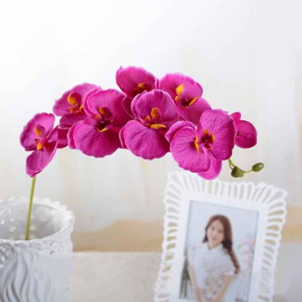 

decorative flowers & wreaths 8 heads/branch real touch plastic artificial orchid fake moth butterfly orchids for home table wedding decorati
