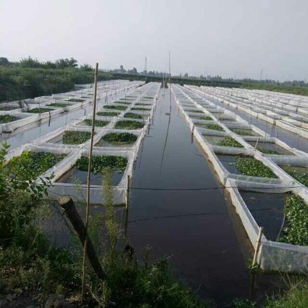 

mesh thicken pe aquaculture net case lobster crab monopterus albus anti-escape breeding customization size available aquariums