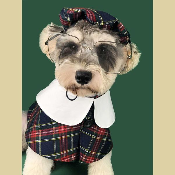 

designer dog clothes pet ropa perro costume para for small dogs coat jacket cat de puppy cape fashion british windbreaker cloak apparel