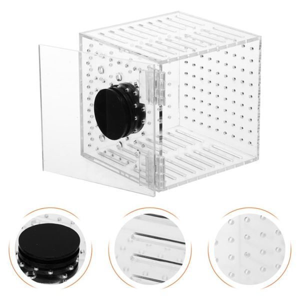 

aquariums 1pc fish isolation box tank ovipositor small hatching holder