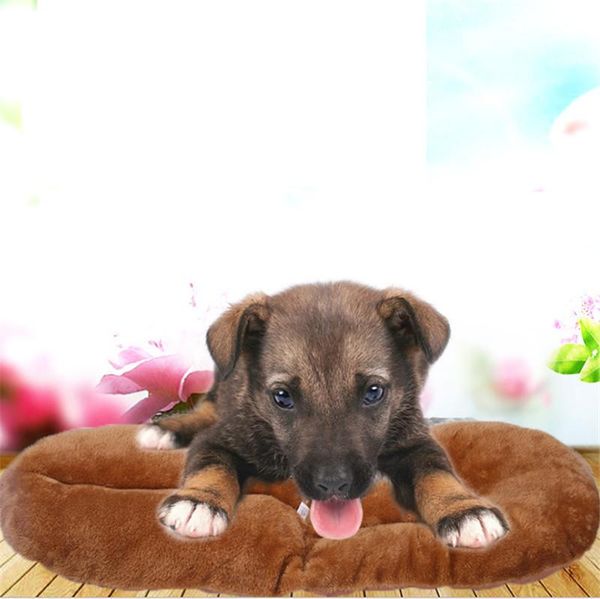 

pet cat sleeping tent small dog soft nesting bed met house kennels & pens