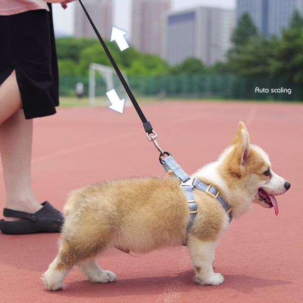 

dog tag,id card automatic retractable collar, 8m, premium, durable, dog, large, extensor, for walking, windrope, belt, pet rope