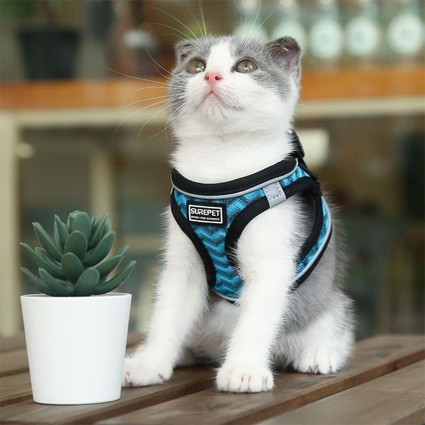 

cat collars & leads leash and chest back set breathable adjustable cats products for pets small medium kitten accessories