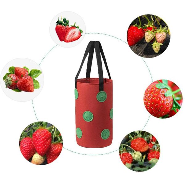 

planters & pots 3 gallon non-woven cloth strawberry planting growing bag hanging plant pot pouch grow planter bags container