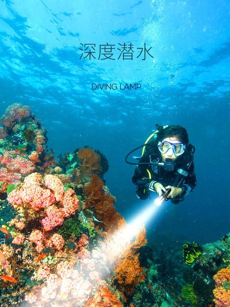 

flashlights torches professional waterproof powerful diving light spearfishing rechargeable lanterna portable lighting bi50fl