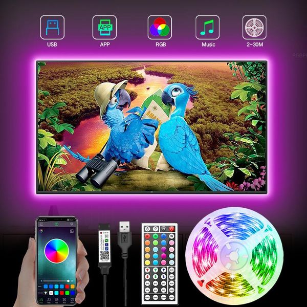 

strips bluetooth-compatib led strip light 5v usb 2m-30m waterproof diode ribbon lamp holiday party decoration bedroom tv backlight
