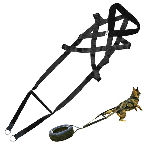 

dog weight pulling sledding harness for medium large work dogs harnesses canicross ski-joring collars & leashes