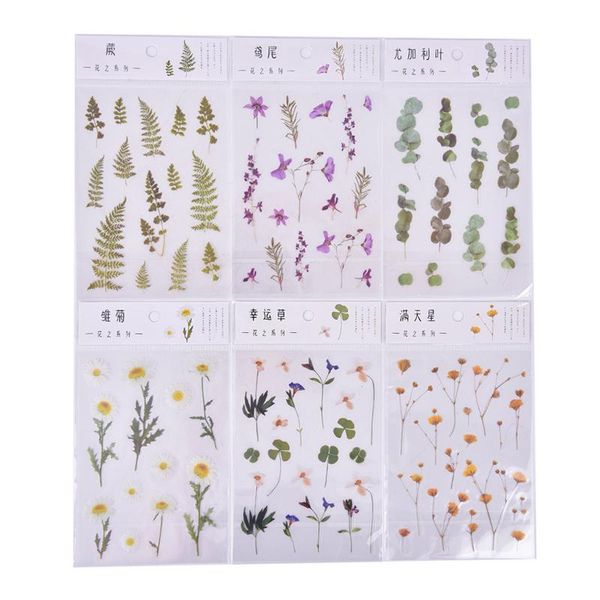 

gift wrap one sheet 6 designs natural daisy clover japanese words stickers transparent pet material flowers leaves plants deco