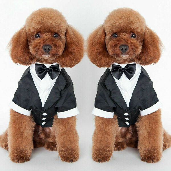 

dog apparel charming wedding party tuxedo suit bow tie puppy costume cat clothes goxc