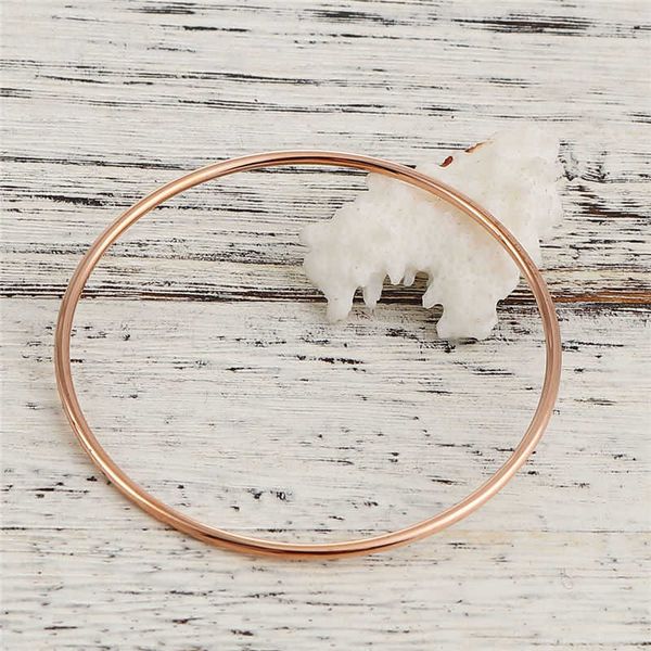 

fashion stainless steel bangles bracelets rose gold & gold round trendy jewelry for women men girls gifts 22 - 20.5cm long 1 pc q0719, Black