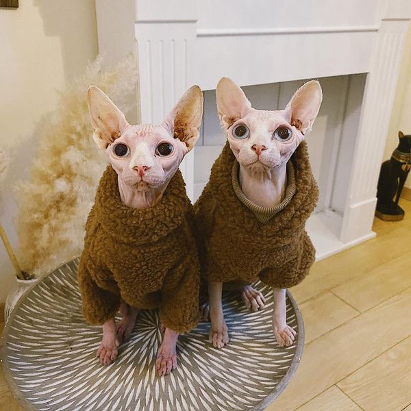 

cat costumes mpk store turtleneck wear clothes suitable for skinny and hairless cats