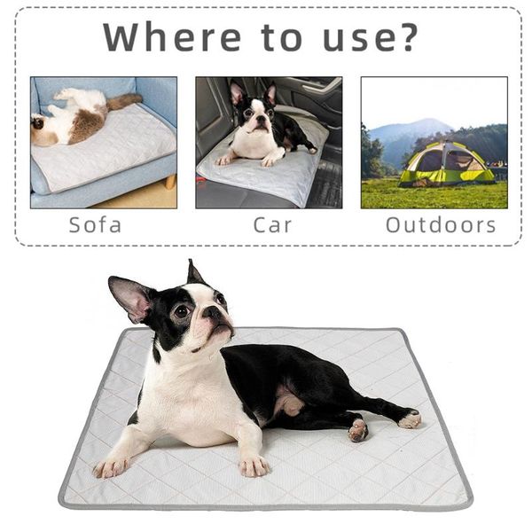 

kennels & pens 2 in 1 pet dog pee mat waterproof reusable bed mats urine pad puppy absorbing rug for training cover dropship