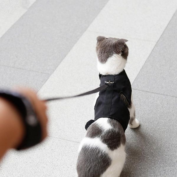 

confortable cat harness leash set reflective nylon mesh kitten puppy dogs vest leads pet clothes small cats collars &