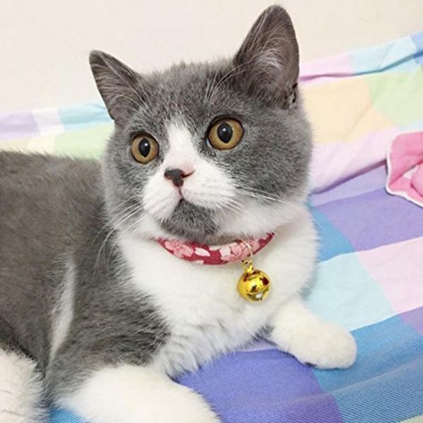 

colored printed handmade adjustable dog cat collar necktie necklace with bell for pet puppy accessories collars & leashes