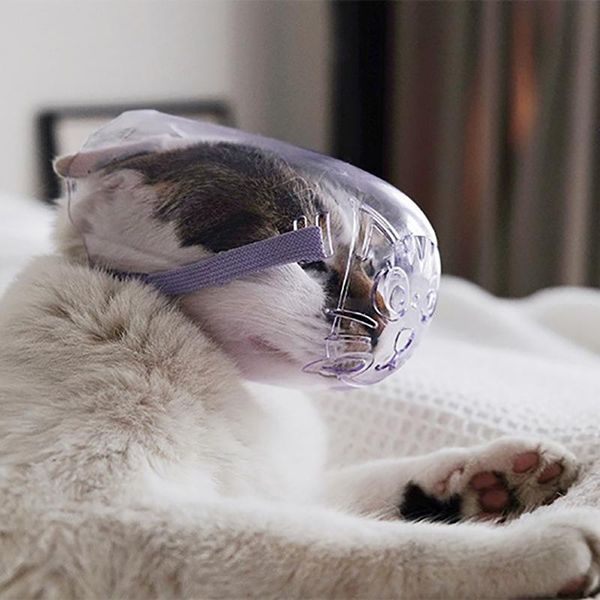 

dog apparel breathable cat muzzle anti-bite grooming mask pet kitten mouth cover for a bath cleaning tool cosas para gat