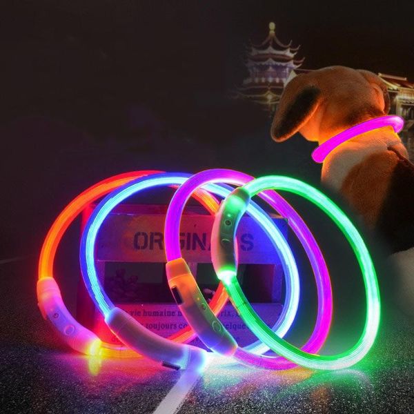 

dog collars & leashes pet collar led glowing puppy night safty usb charging accessories xjs789