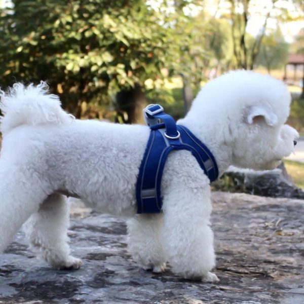 

dog collars & leashes cat safety vest harness adjustable traction rope with reflective strips multi-color fixed anti-bite and anti-lost coll