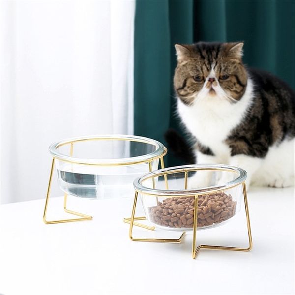 Новые нескользящие кошачьи чаши очки одиночные чаши с золотой стенд PET PROTWATEWATES для кошек собаки кормушки Pet Products Cat Bower Y200922