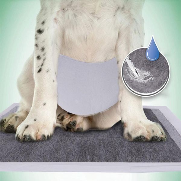 

outdoor eyewear 20pcs pet dog cat disposable diapers suitable for and indoor use