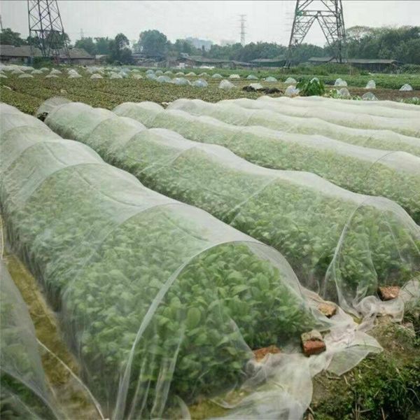 

pest control plant crops protect mesh bird insect animal garden net netting vegetables aperture protective