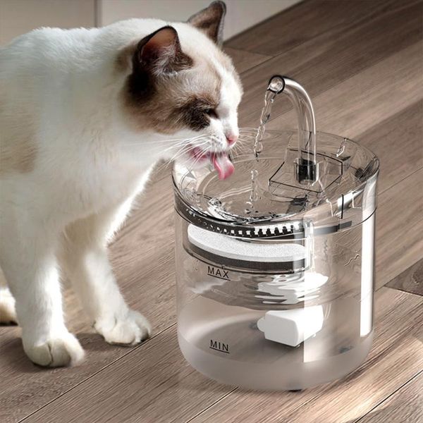 

cat bowls & feeders water fountain filter automatic sensor drinker with faucet transparent for cats pet feeder dog drinking dispenser pets