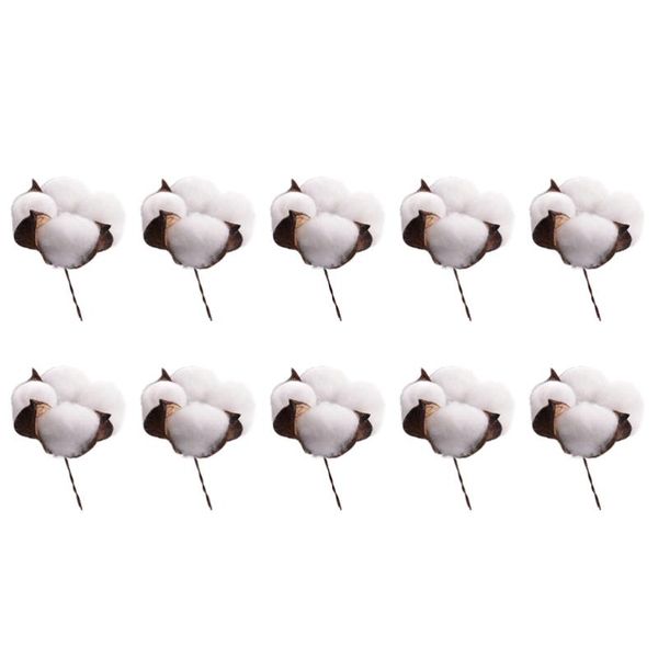 

10pcs cotton flowers simulation single artificial stems dried for wedding home diy decorative & wreaths