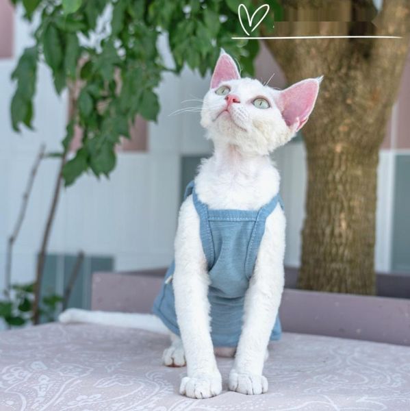 

cat costumes german hairless camisole sphinx summer clothes pure cotton breathable vest accessories supplies