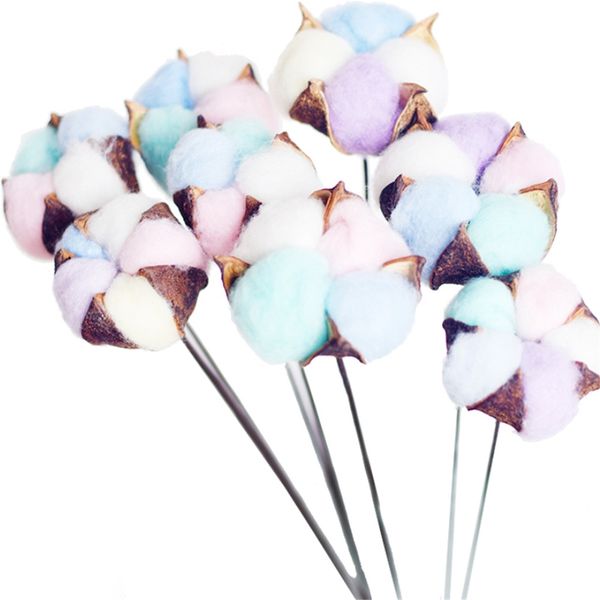 

mixed coor natura dry fower cotton branches 6 stems artificia cotton branches