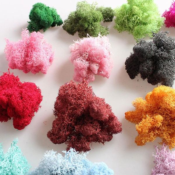 

decorative flowers & wreaths natural norwegian reindeer moss preserved dried craft flower stamen decoration wedding ornament fairy garden de