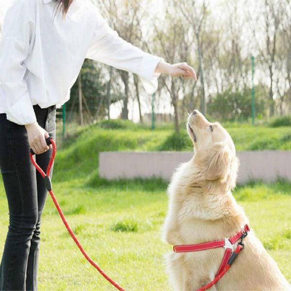 

dog collars & leashes reflective collar harness chain belt black red blue xs s m l