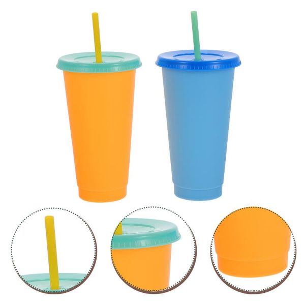 

2pcs heat discoloration straw cups water drinking sippy mugs