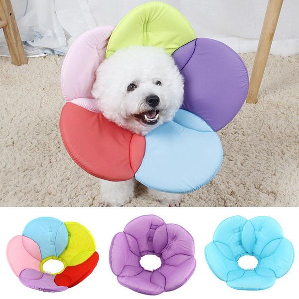 

dog collars & leashes cat collar flower shape elizabeth circle anti-bite ring pet recovery protective soft sponge accessories