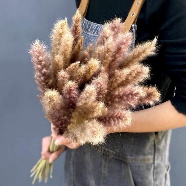 

decorative flowers & wreaths 15pcs pampas grass fiori secchi reed phragmites plants bouquet dried natural for wedding party home table decor