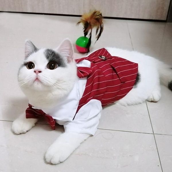 

cat costumes gentleman party costume for cats summer handsome wedding clothes evening dress suit tuxedo pets clothing disfraz gato