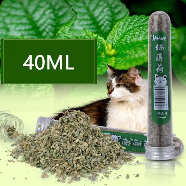

40ml fresh organic dried cat catnip nepeta cataria leaf flower toys