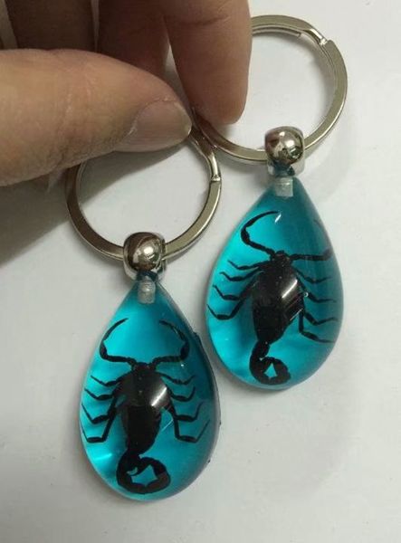 

10 pcs keychain real black scorpion king blue color drop design key ring, Slivery;golden