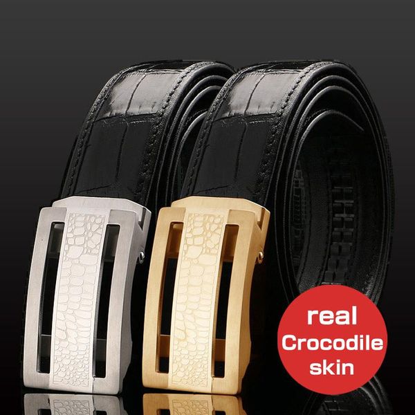

high grade alligator leather belt for fashionable men's stainless steel buckle is and gold cinturones para hombre belts, Black;brown