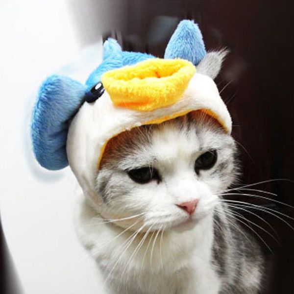 

dog apparel lovely cat decoration hair band accessories hat cap puppy