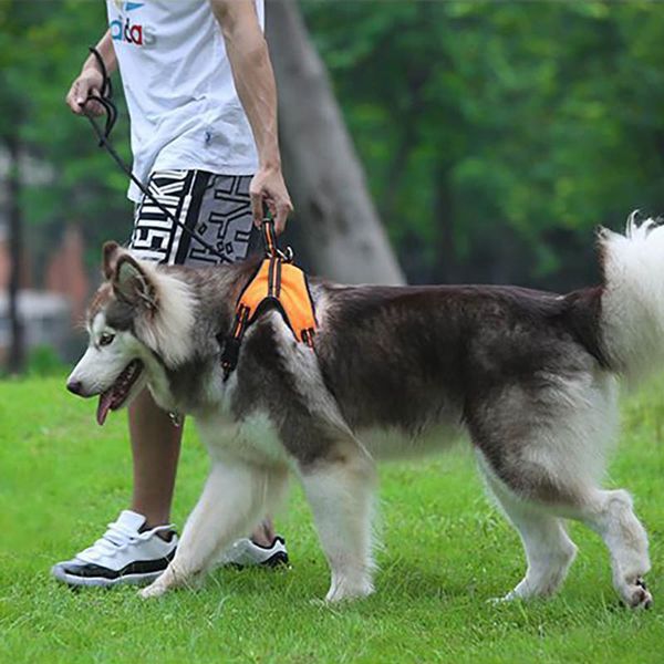 

size s puppy harness vest breathable no pull dog training adjustable reflective for pitbull labrador collars & leashes