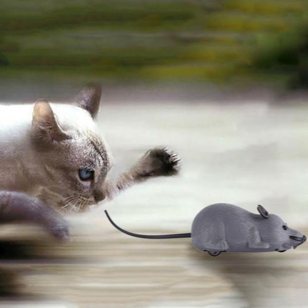 

cat toys cats optional mice toy cute lifelike mouse pull back string automatic go forward 2021 arrival