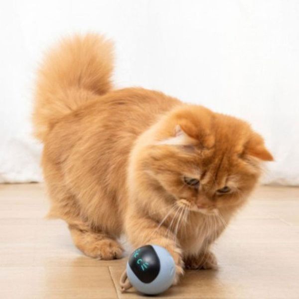 

cat toys colorful led self rotating ball usb rechargeable kitten electronic