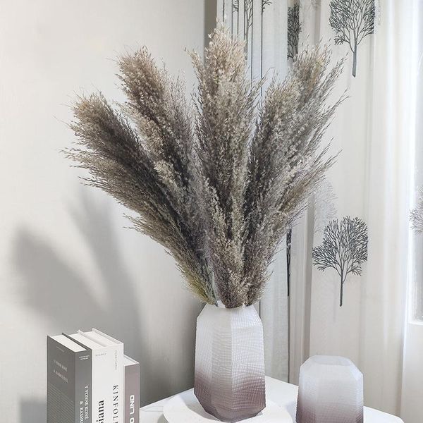 

pampas grass natural dried flowers home decor wedding bouqut decoration furnishing articles bouquet for diy party festival decorative & wrea