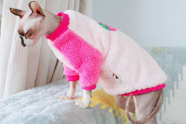 

cat costumes sphynx clothes double suede tender strawberry thickened winter warm shirt pet puppy