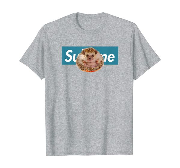 

adorable hedgehog t-shirt, cute hedgehog shirt in blue box t-shirt, White;black